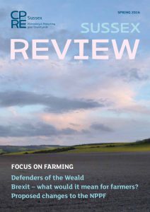 Sussex Review Spring 2016