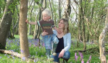 Bluebell woods and child