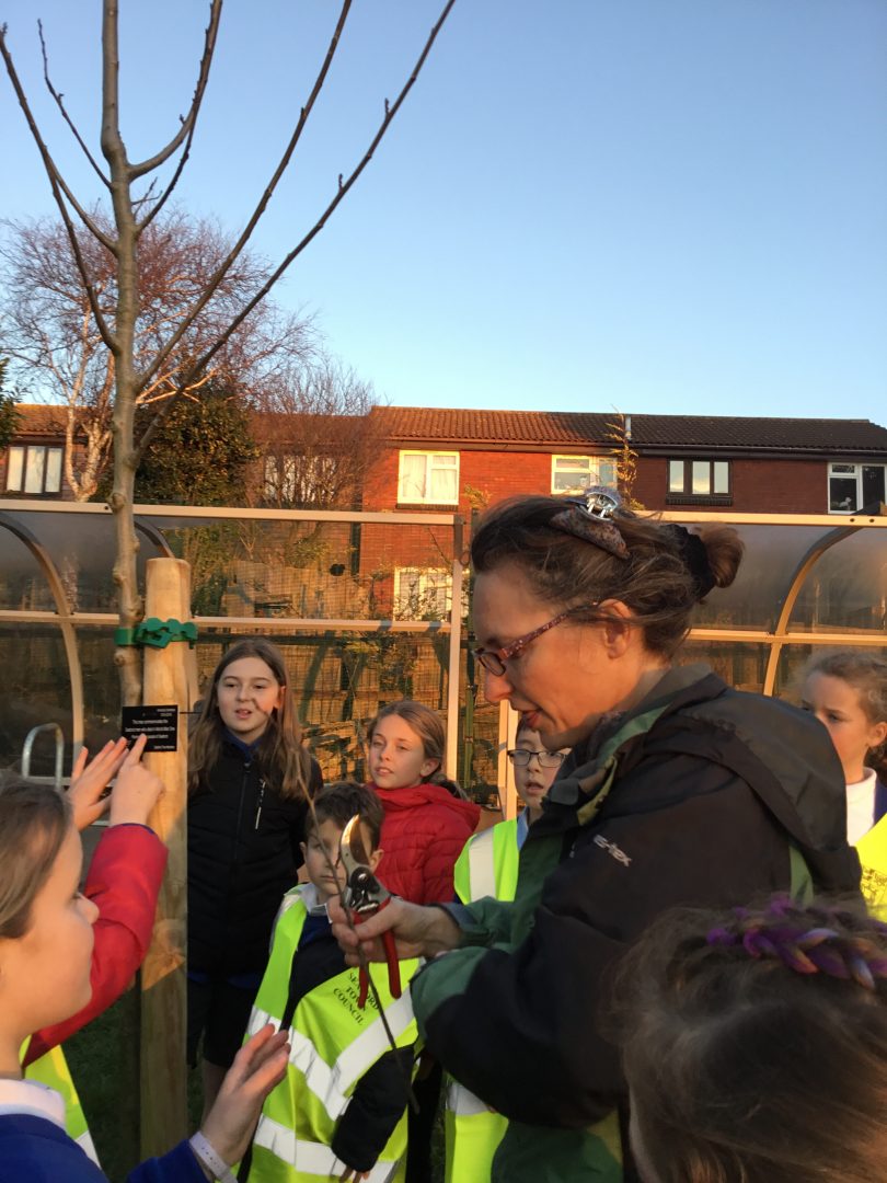 Cradle Hill Primary School CPRE Sussex