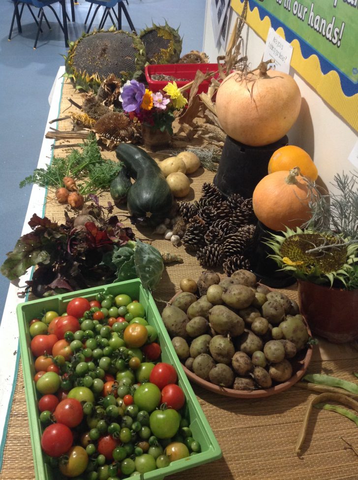 Cradle Hill Primary School CPRE Sussex