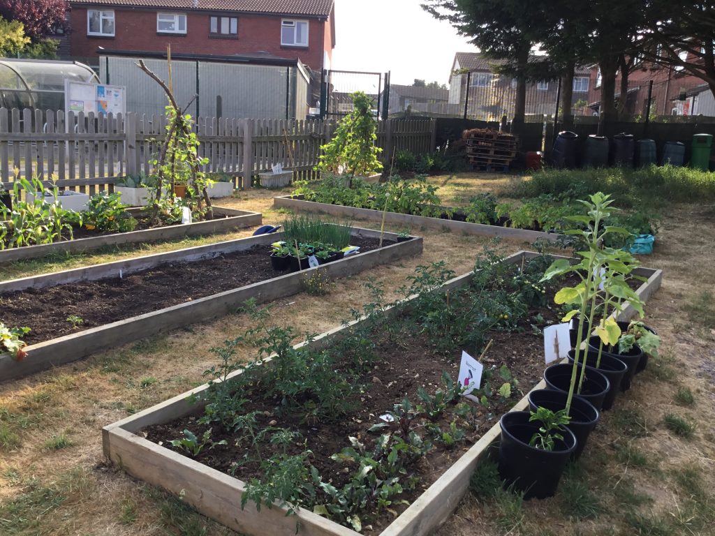 Cradle Hill Primary School CPRE Sussex